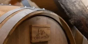 Vinho da semana: Schönburger e Chardonnay Taffarel