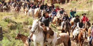 Maior cavalgada feminina do Brasil chega à 22ª edição em Cambará do Sul